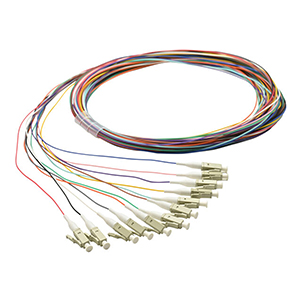 162206P-12 - 12-fiber LC/UPC OM1 (OFNR) Fiber Optic Pigtail - 0.9mm - 2 Meter