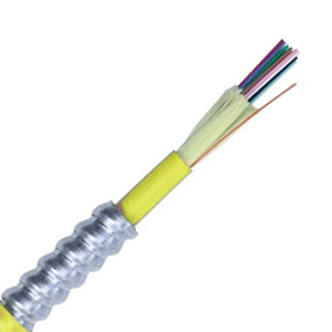 160303-P - Fiber Optic, Indoor/Outdoor, Armor, Interlock, 6-Strand, Singlemode, Tight Buffered, Plenum - PER FT