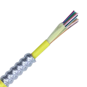 160318-P - Fiber Optic, Indoor/Outdoor, Armor, Interlock, 24-Strand, Singlemode, Tight Buffered, Plenum - PER F