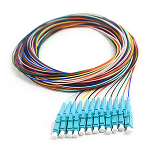 162246P-12 - 12 Strand Multimode 50/125 OM4 10G LC-UPC Fiber Pigtail - 3 Meter